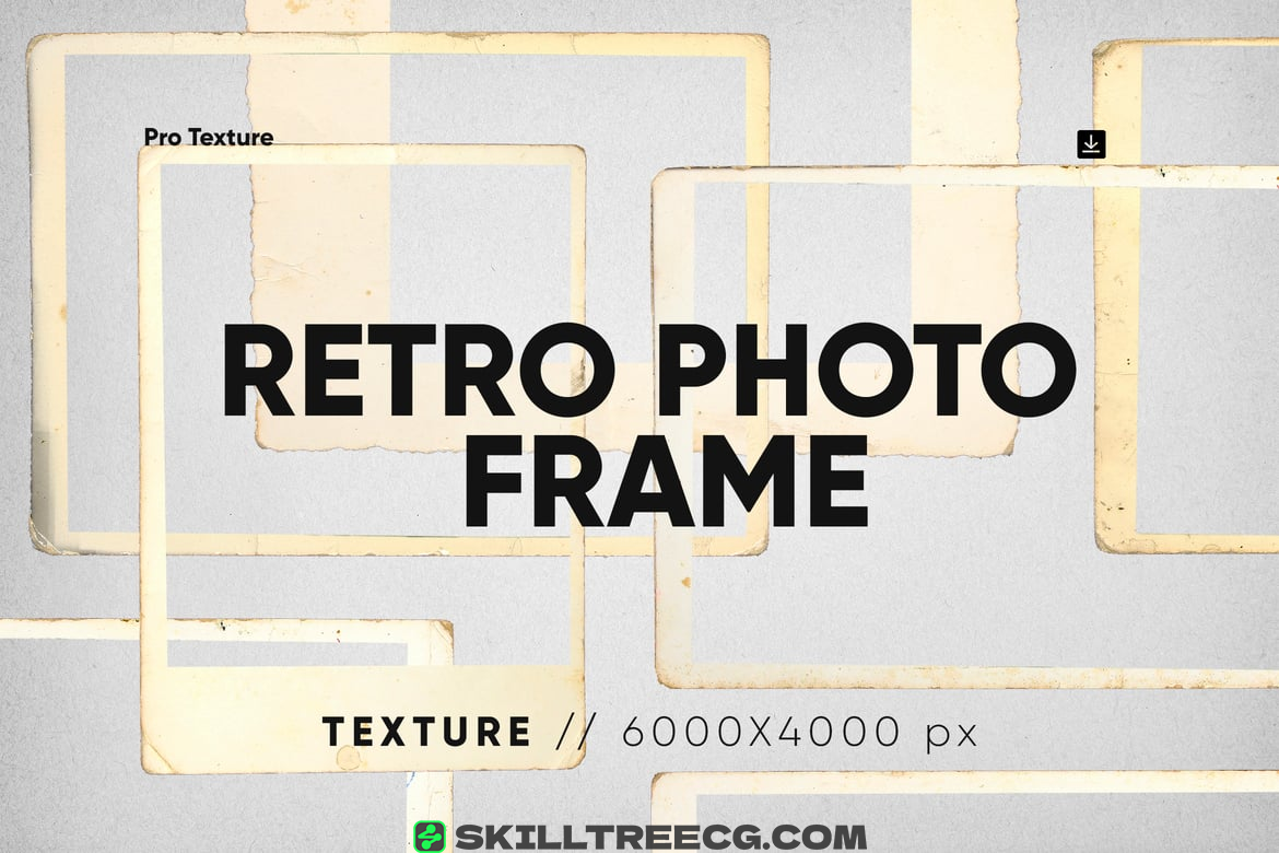 15 Retro Photo Frame Overlay（020239）-技能树